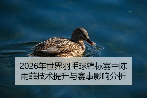 nian-shi-jie-yu-mao-qiu-jin-biao-sai-zhong-chen-yu-fei-ji-shu-ti-sheng-yu-sai-shi-ying-xiang-fen-xi-2-783.jpg