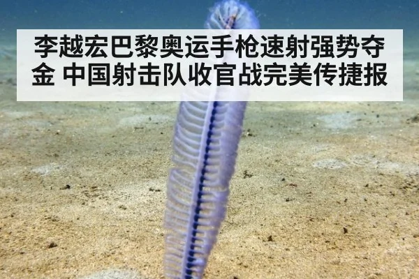李越宏巴黎奥运手枪速射强势夺金 中国射击队收官战完美传捷报